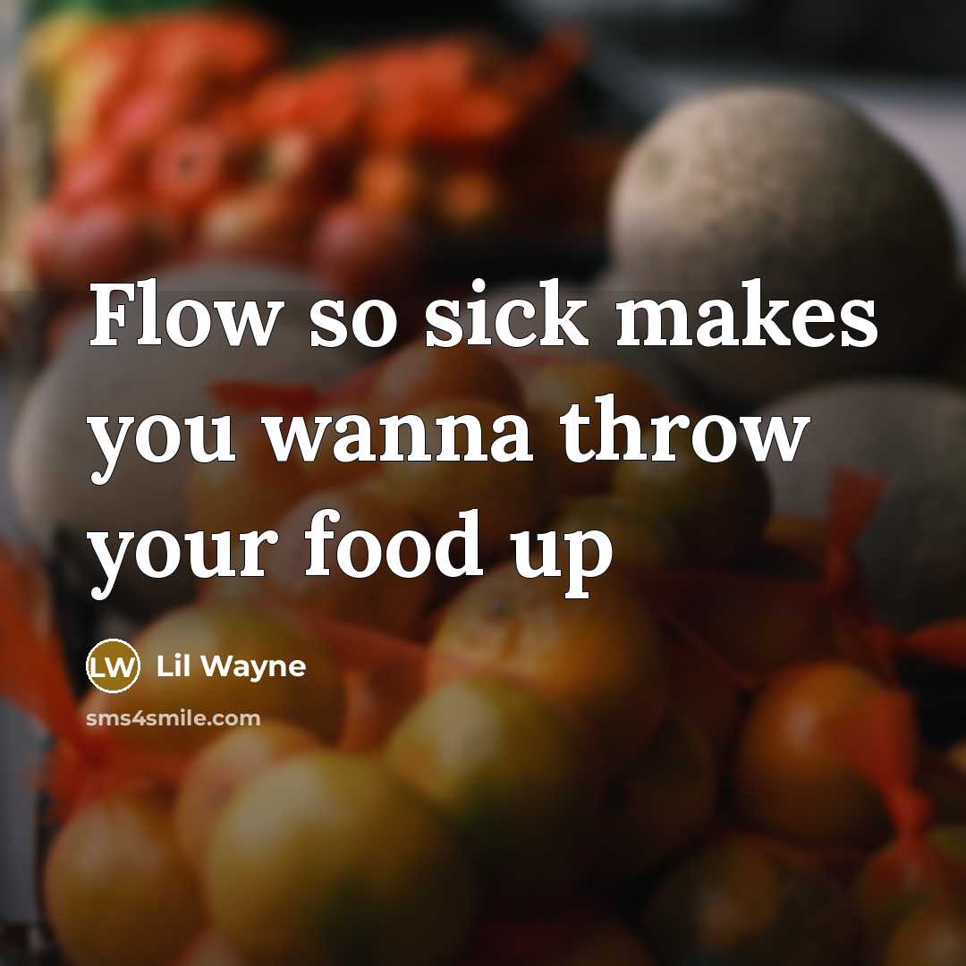 “Flow so sick makes you wanna throw your food up…” quote by Lil Wayne