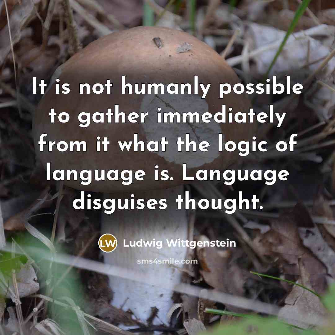 “It is not humanly possible to gather immediately from it…” quote by Ludwig Wittgenstein