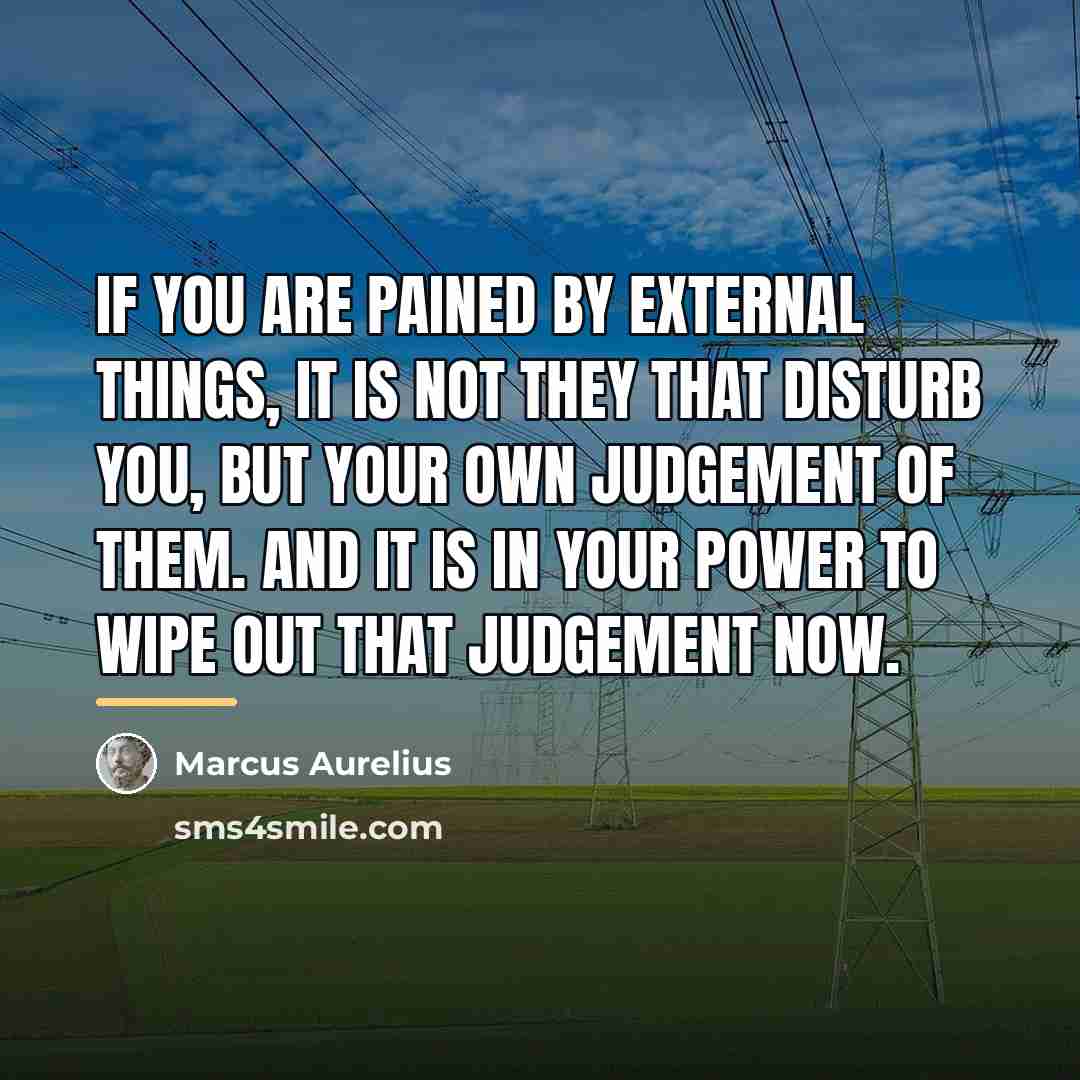 “If you are pained by external things, it is not…” quote by Marcus Aurelius