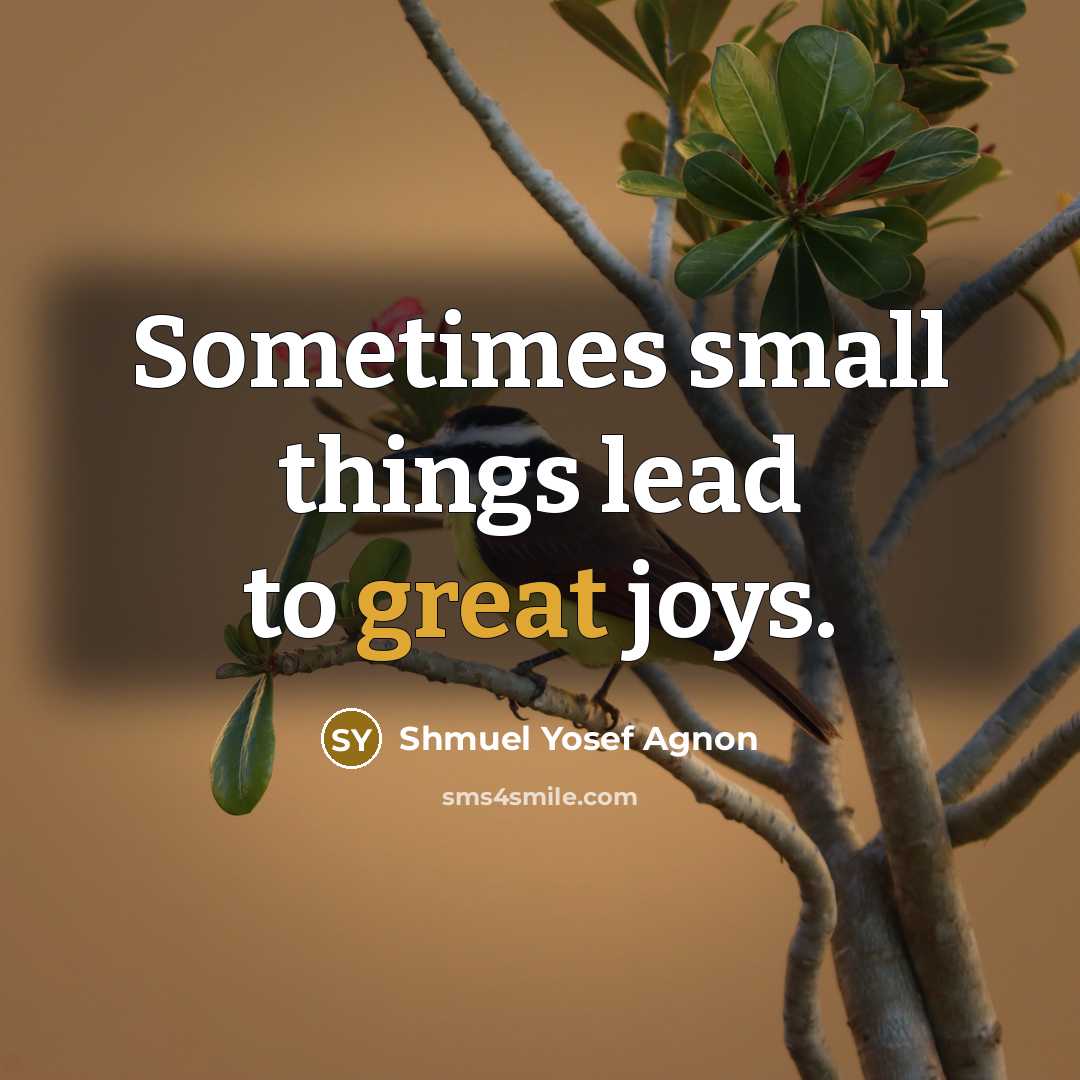 “Sometimes small things lead to great joys.…” quote by Shmuel Yosef Agnon