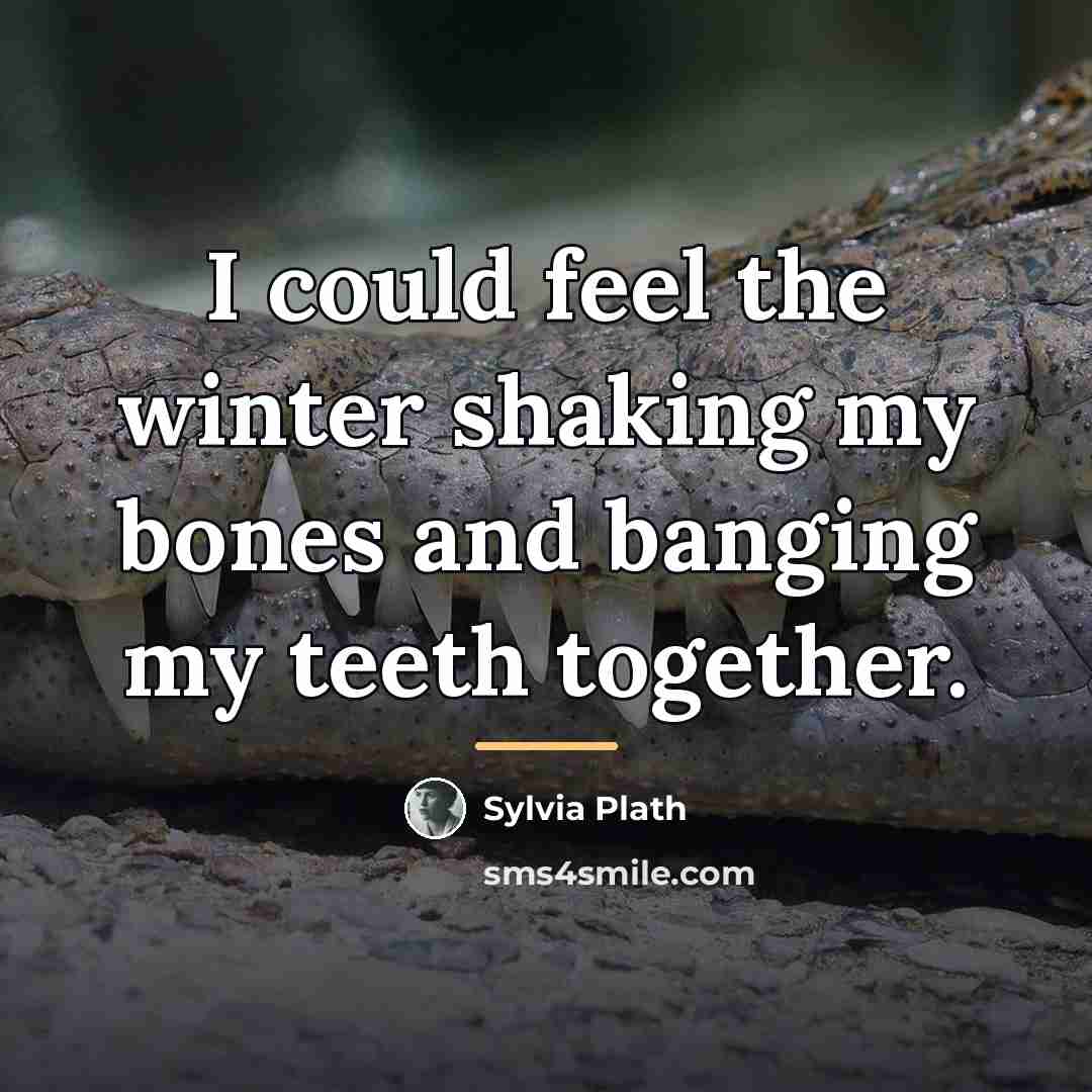 “I could feel the winter shaking my bones and banging…” quote by Sylvia Plath