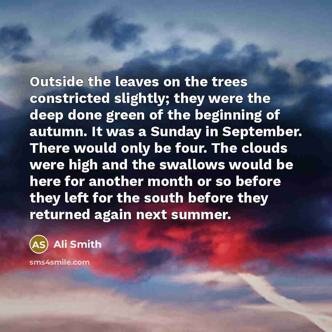 “Outside the leaves on the trees constricted slightly; they were…” quote by Ali Smith