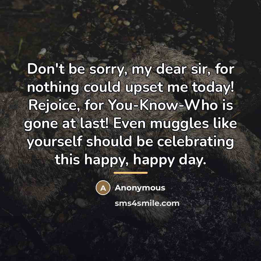 “Don't be sorry, my dear sir, for nothing could upset…” quote by Anonymous