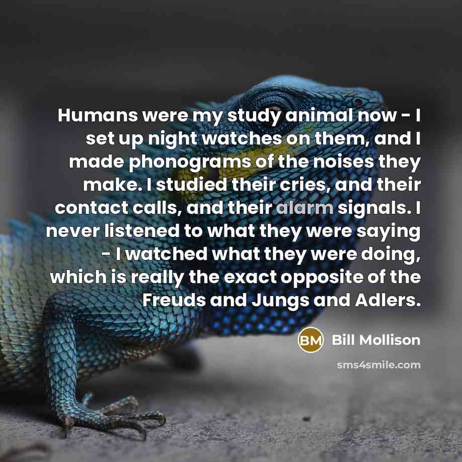 “Humans were my study animal now - I set up…” quote by Bill Mollison