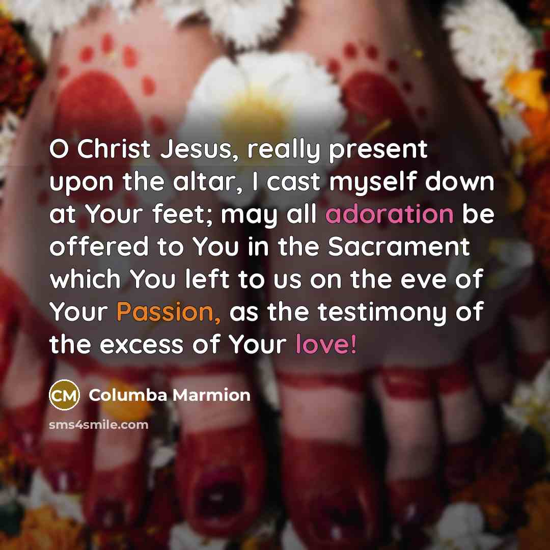 “O Christ Jesus, really present upon the altar, I cast…” quote by Columba Marmion