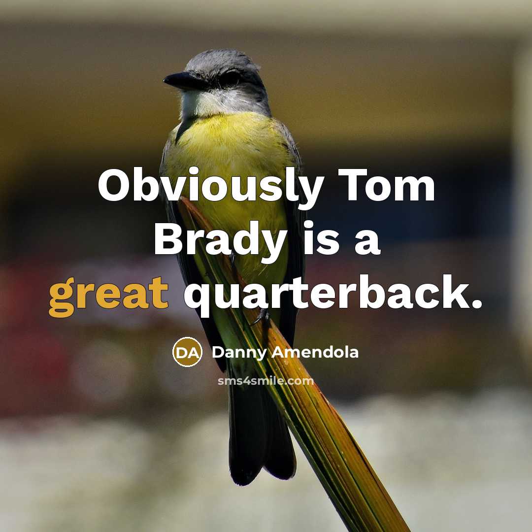 “Obviously Tom Brady is a great quarterback.…” quote by Danny Amendola