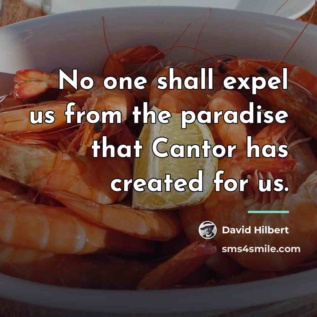 “No one shall expel us from the paradise that Cantor…” quote by David Hilbert