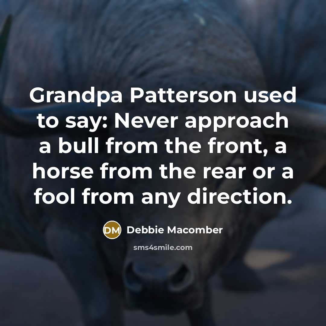 “Grandpa Patterson used to say: Never approach a bull from…” quote by Debbie Macomber