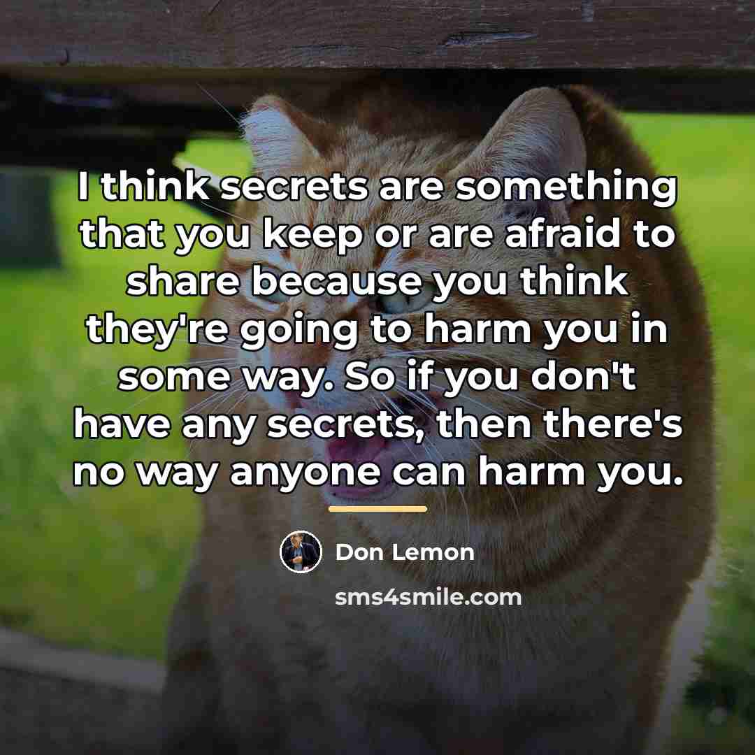 “I think secrets are something that you keep or are…” quote by Don Lemon