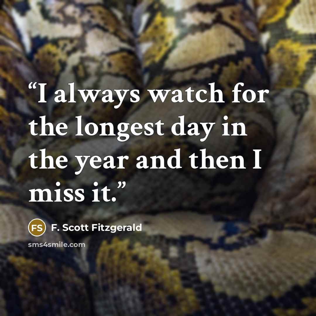 “I always watch for the longest day in the year and then I miss it.” quote by F. Scott Fitzgerald