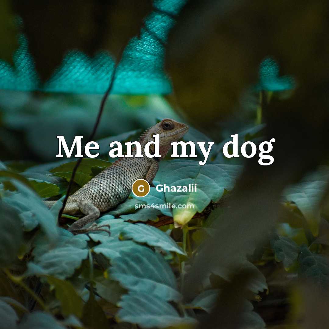 “Me and my dog” quote by Ghazalii