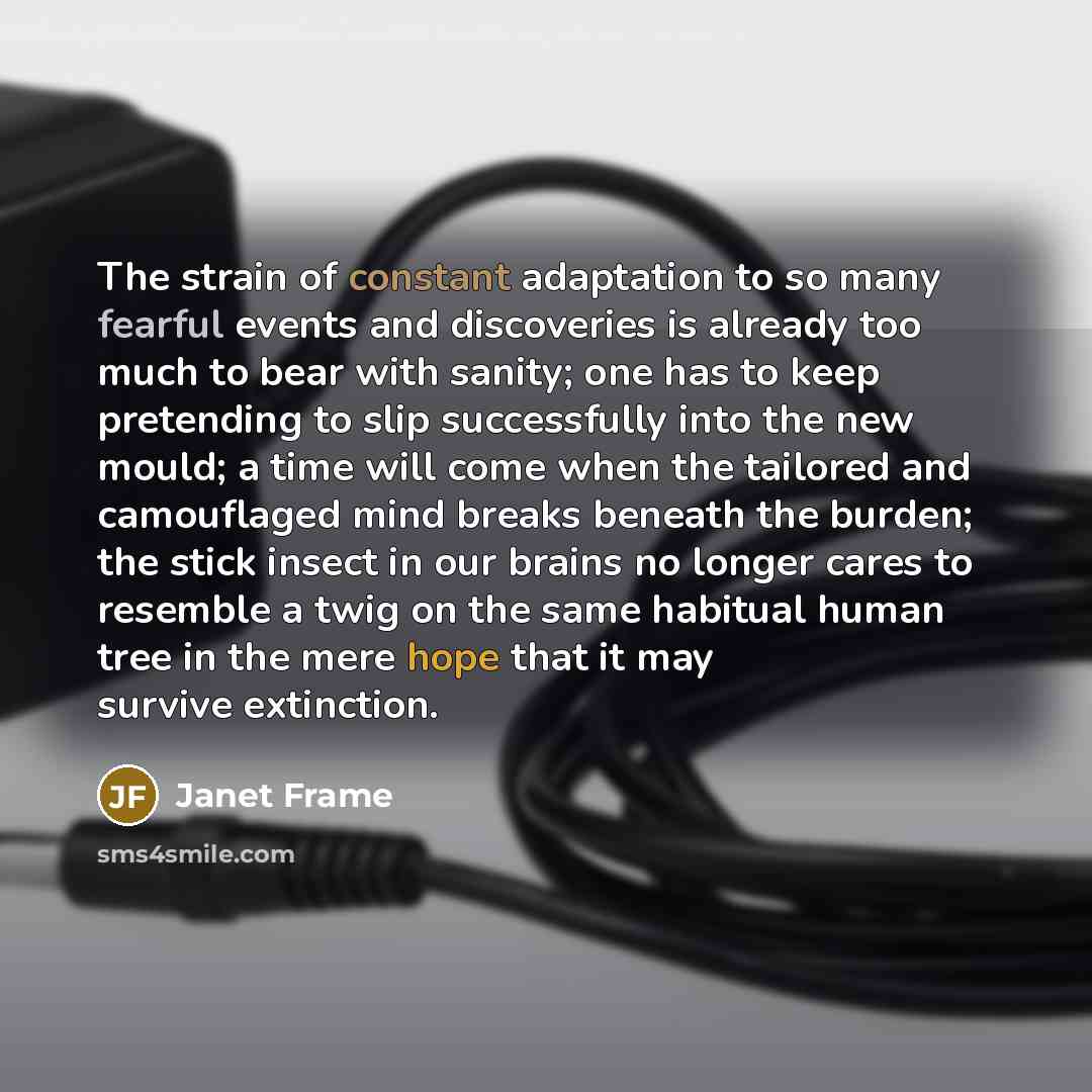 “The strain of constant adaptation to so many fearful events…” quote by Janet Frame