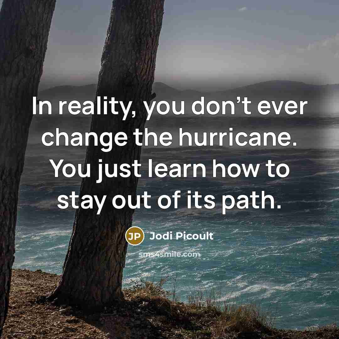 “In reality, you don’t ever change the hurricane. You just…” quote by Jodi Picoult