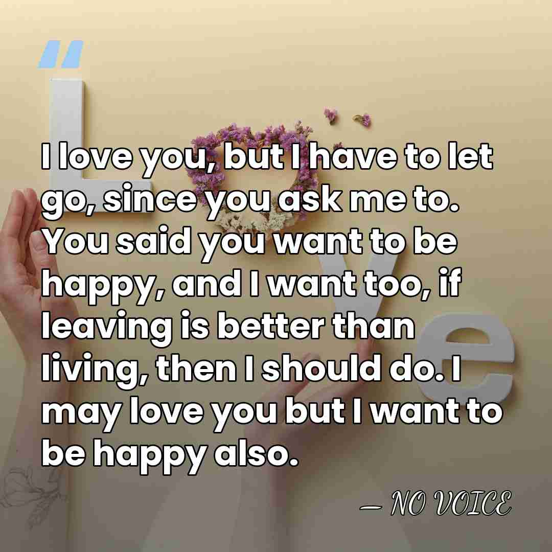 I love you, but I have to let go, since you ask&hellip; - NO VOICE