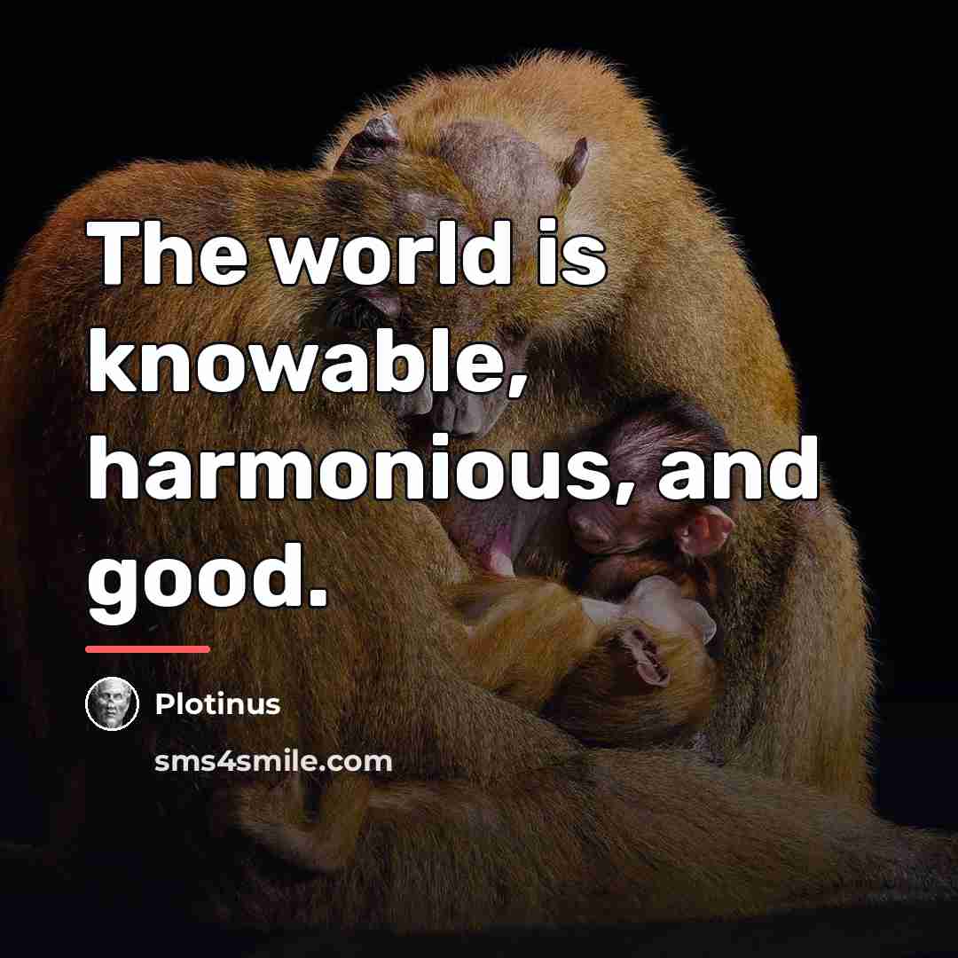 “The world is knowable, harmonious, and good.…” quote by Plotinus
