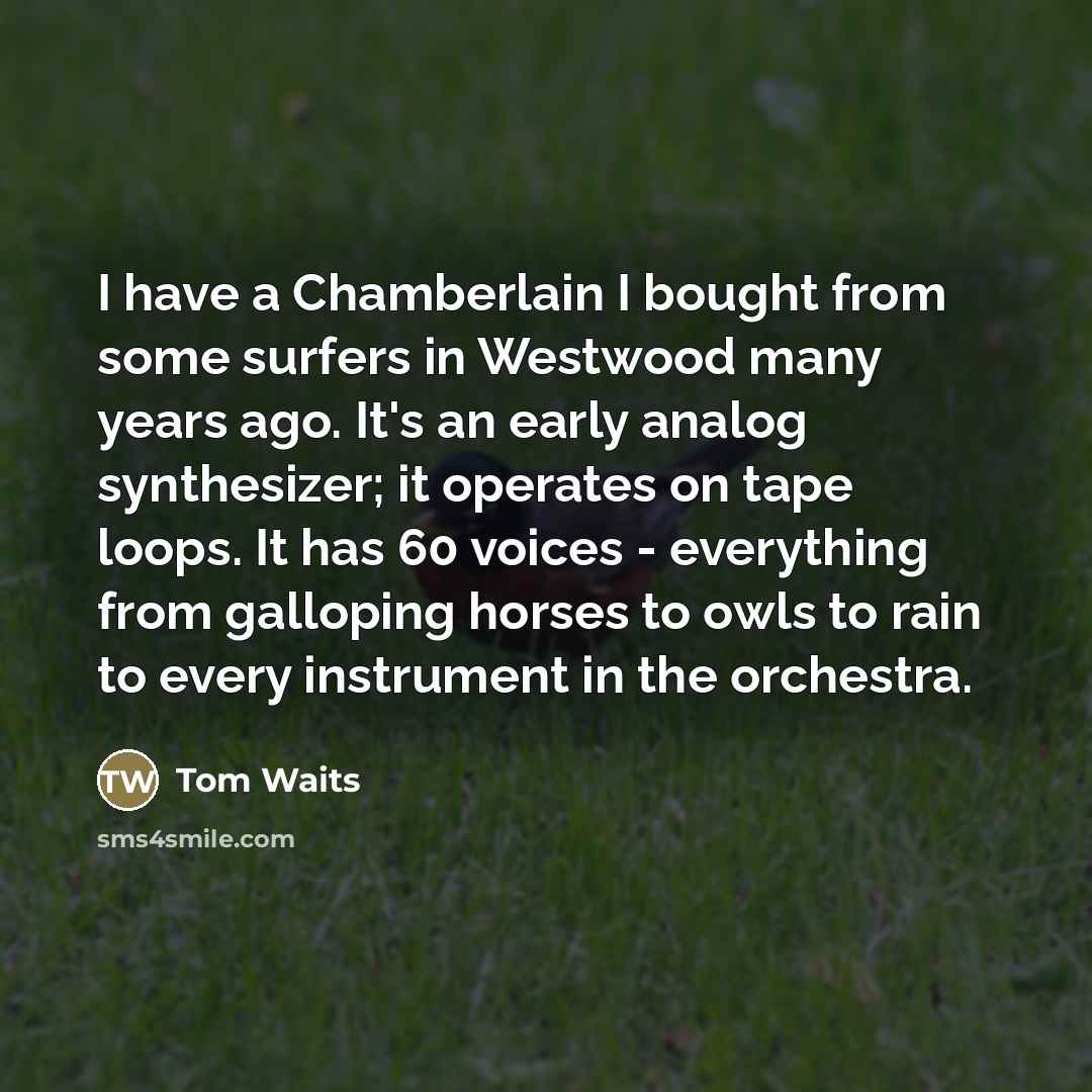 “I have a Chamberlain I bought from some surfers in…” quote by Tom Waits