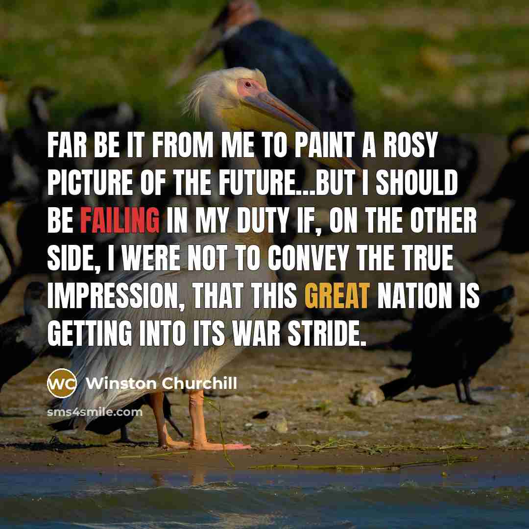 “Far be it from me to paint a rosy picture…” quote by Winston Churchill