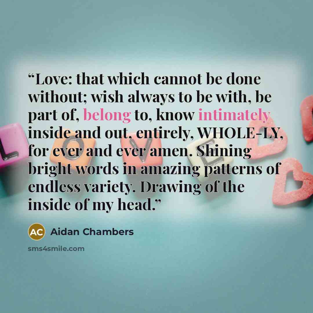 “Love: that which cannot be done without; wish always to be with, be part of, belong to, know intimately inside and out, entirely, WHOLE-LY, for ever and ever amen. Shining bright words in amazing patterns of endless variety. Drawing of the inside of my head.” quote by Aidan Chambers