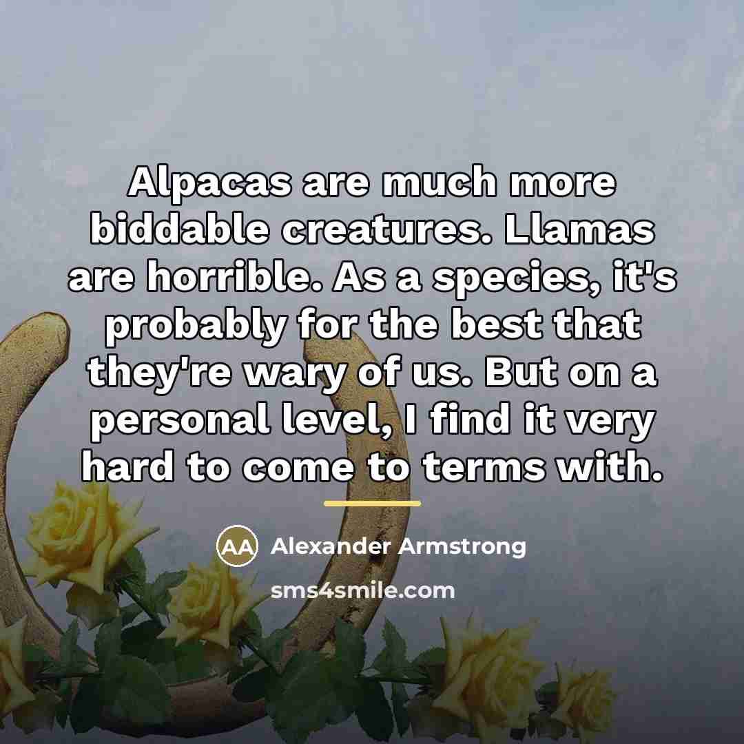 “Alpacas are much more biddable creatures. Llamas are horrible. As…” quote by Alexander Armstrong