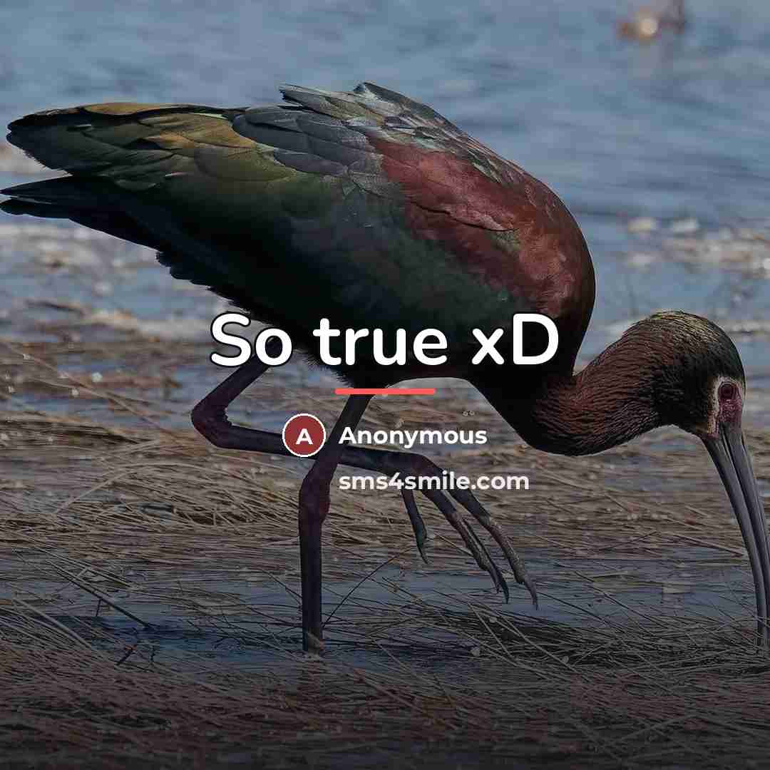 “So true xD…” quote by Anonymous