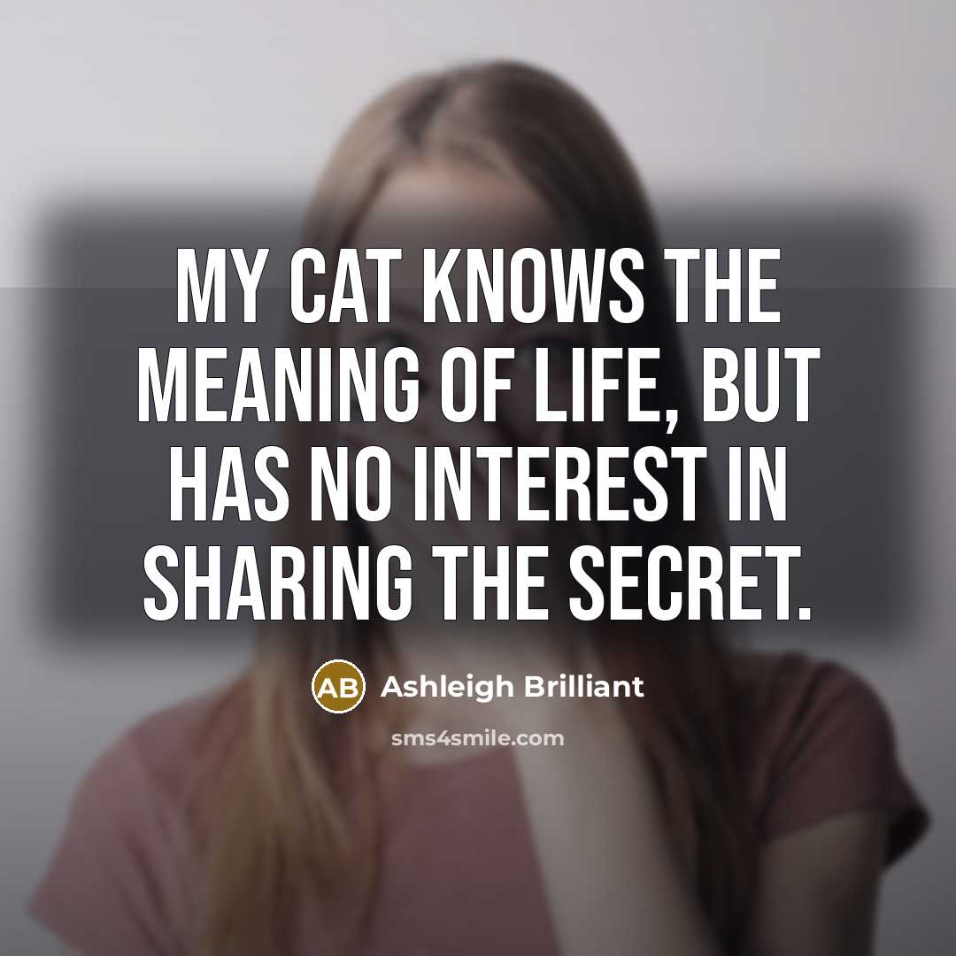 “My cat knows the meaning of life, but has no…” quote by Ashleigh Brilliant