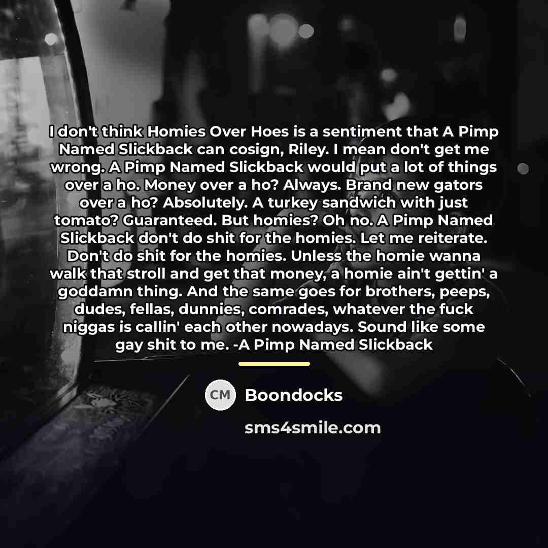 “I don't think Homies Over Hoes is a sentiment that…” quote by Boondocks