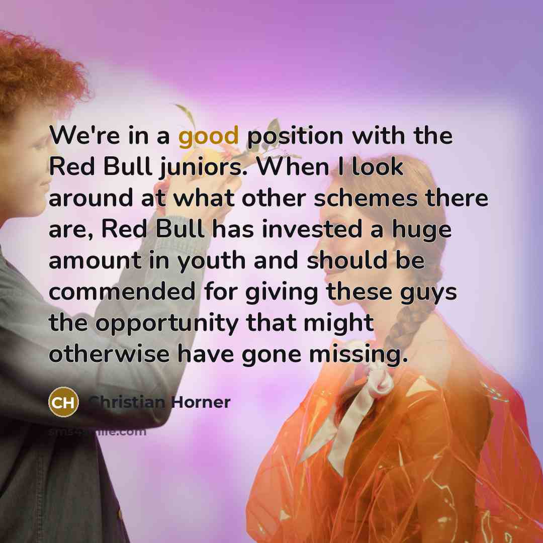 “We're in a good position with the Red Bull juniors.…” quote by Christian Horner
