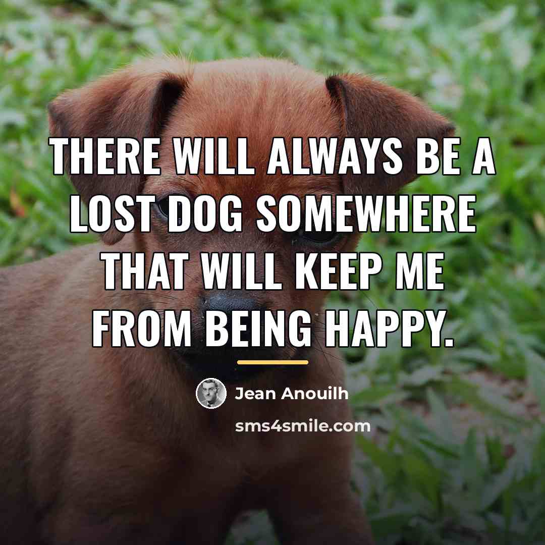 “There will always be a lost dog somewhere that will…” quote by Jean Anouilh