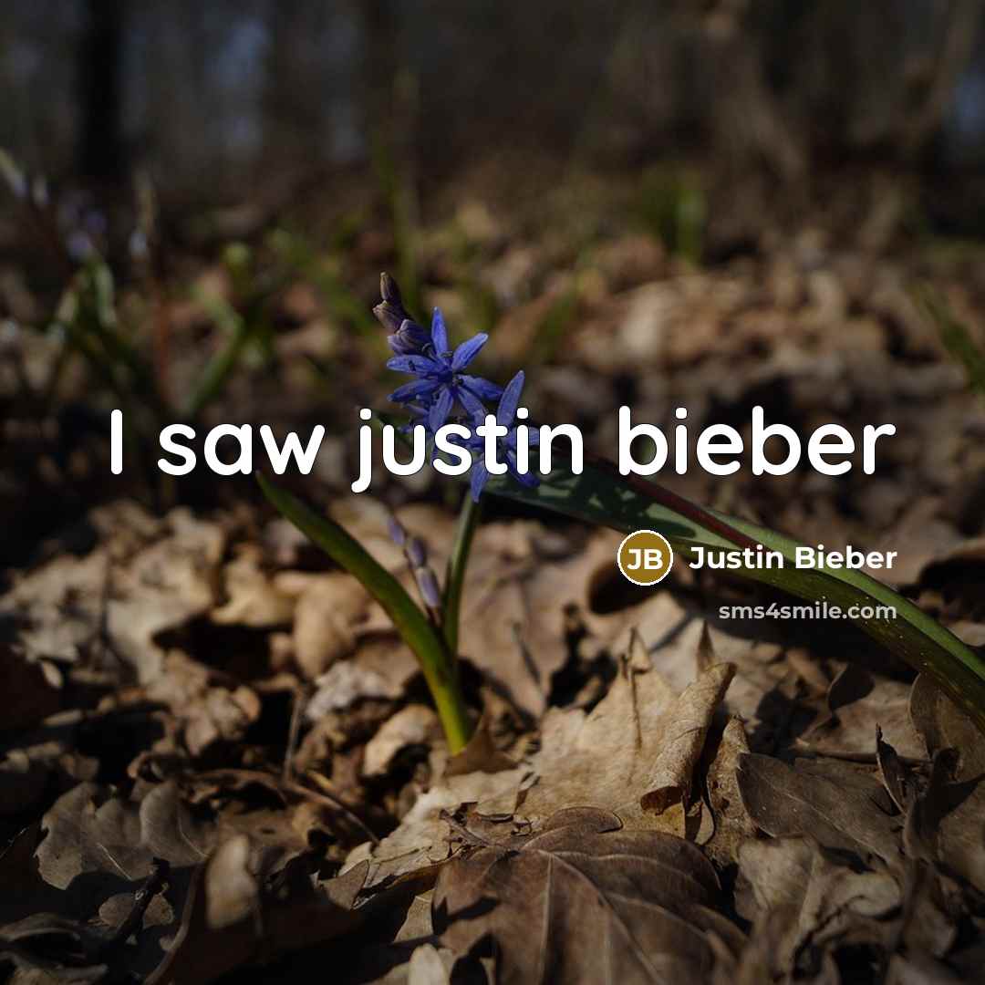 “I saw justin bieber…” quote by Justin Bieber