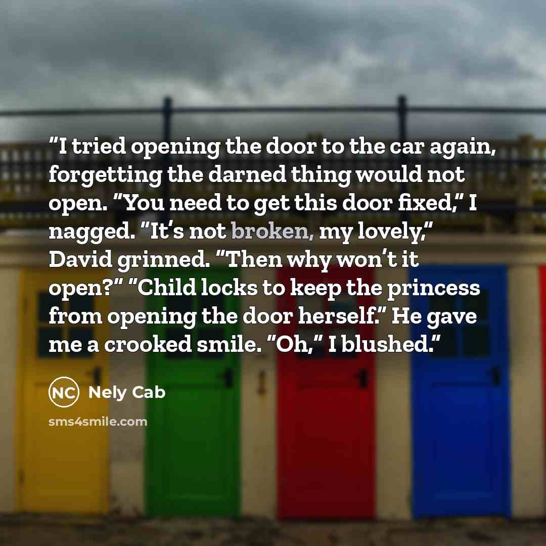 “I tried opening the door to the car again, forgetting the darned thing would not open. “You need to get this door fixed,” I nagged. “It’s not broken, my lovely,” David grinned. “Then why won’t it open?” “Child locks to keep the princess from opening the door herself.” He gave me a crooked smile…” quote by Nely Cab