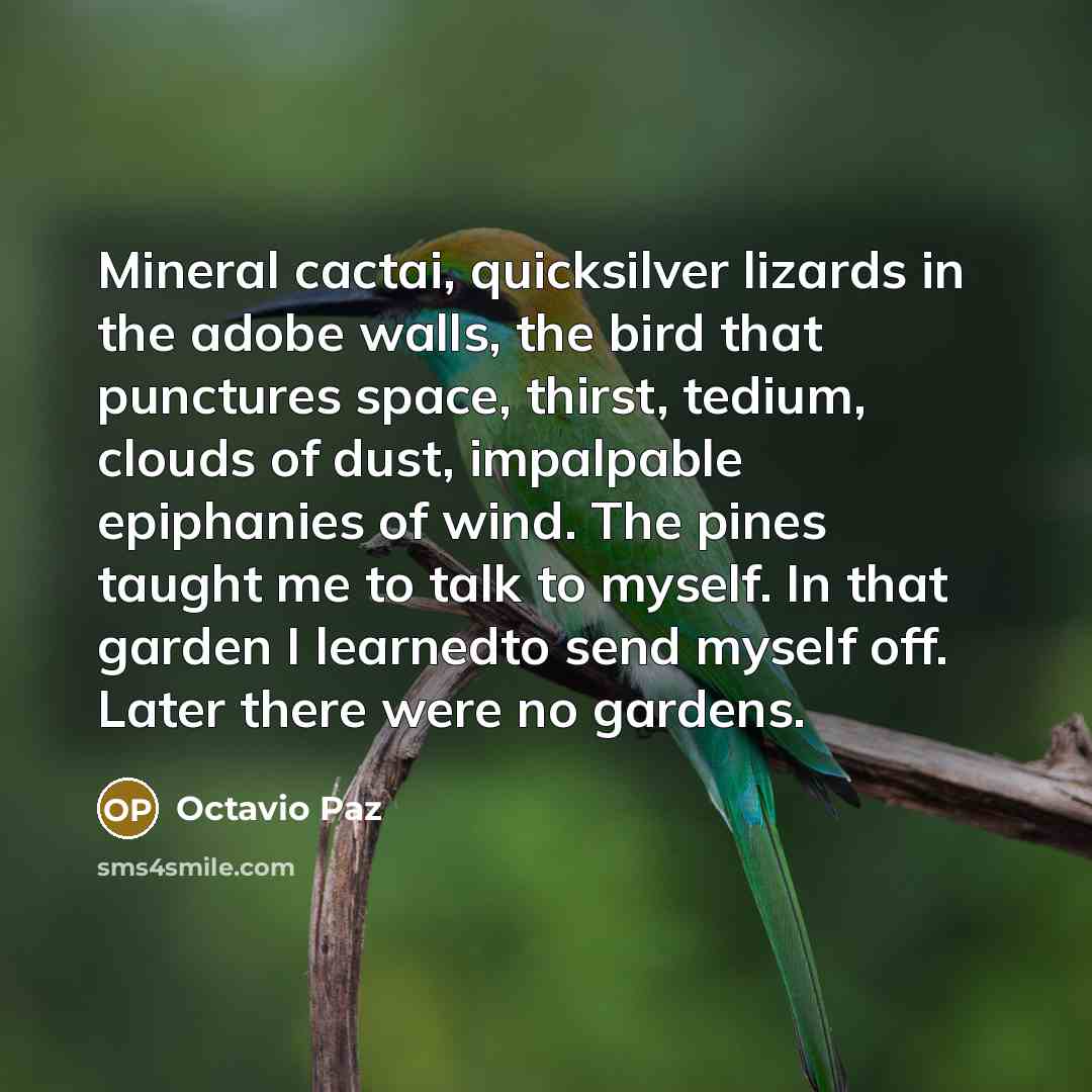 “Mineral cactai, quicksilver lizards in the adobe walls, the bird…” quote by Octavio Paz