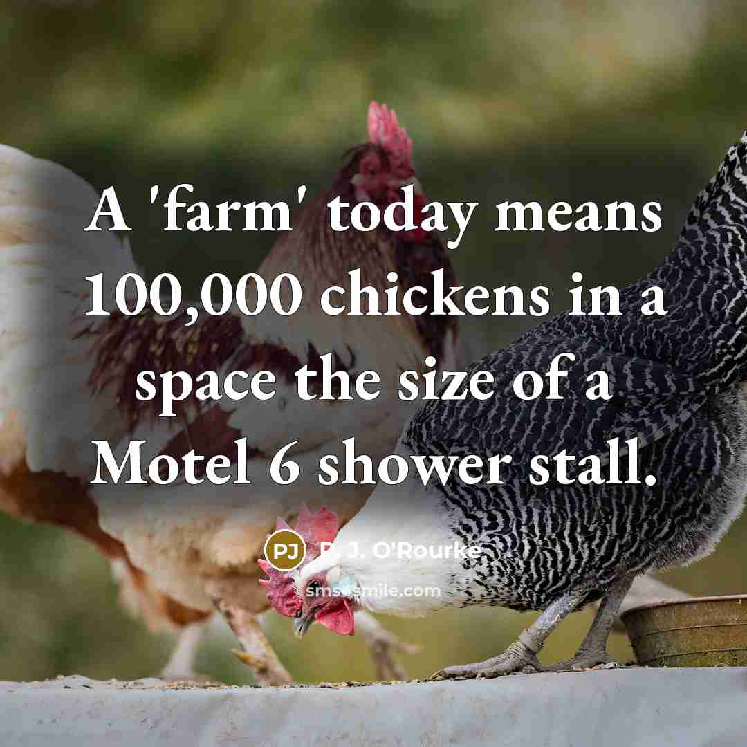 “A 'farm' today means 100,000 chickens in a space the…” quote by P. J. O'Rourke