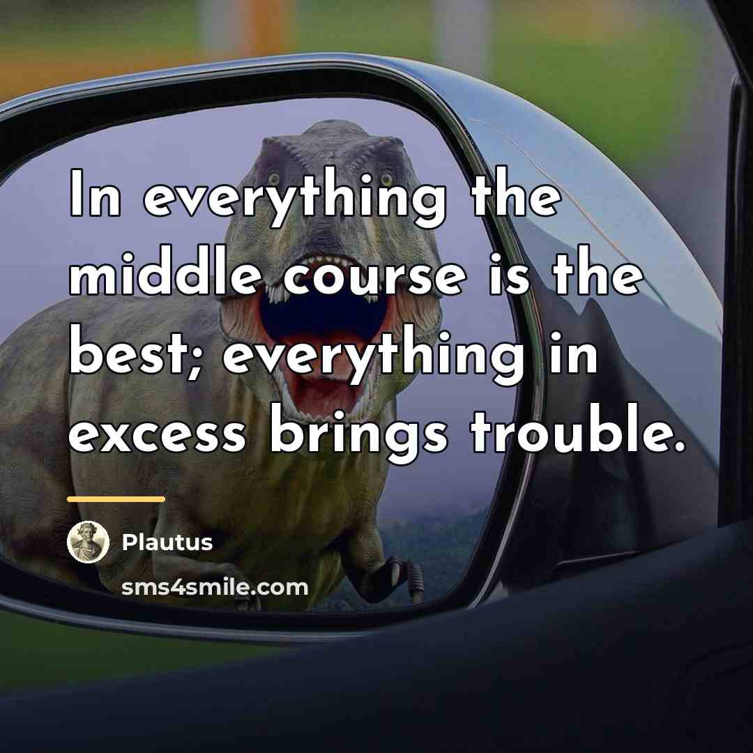 “In everything the middle course is the best; everything in…” quote by Plautus