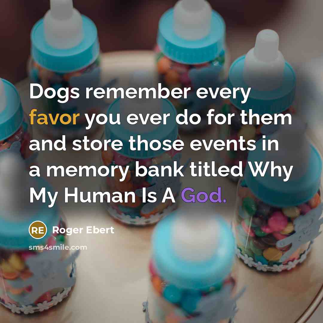 “Dogs remember every favor you ever do for them and store those events in a memory bank titled Why My Human Is A God.” quote by Roger Ebert