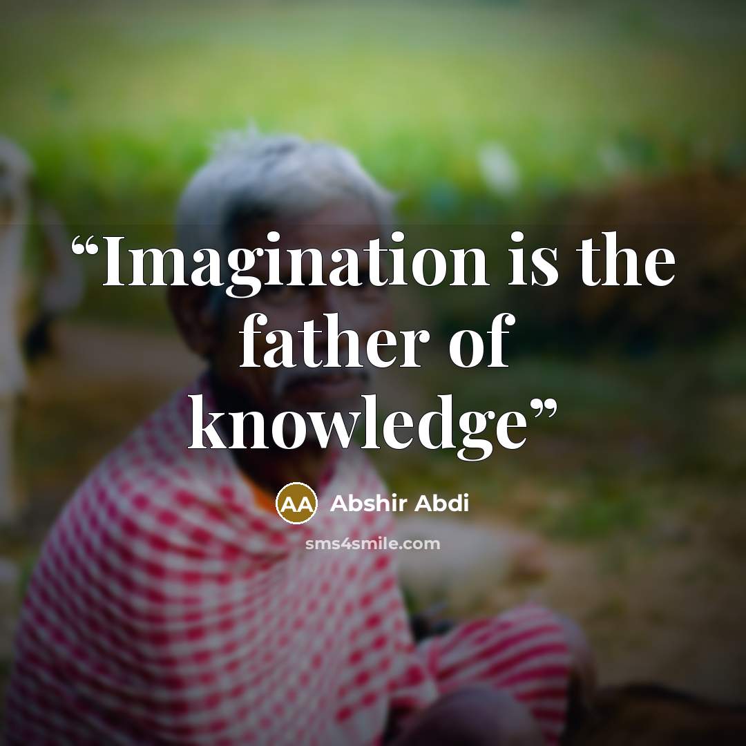 “Imagination is the father of knowledge” quote by Abshir Abdi