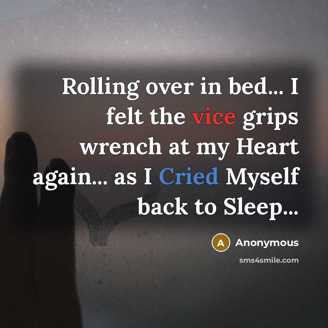 “Rolling over in bed... I felt the vice grips wrench at my Heart again... as I Cried Myself back to Sleep...” quote by Anonymous