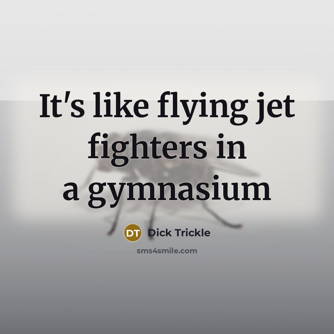 “It's like flying jet fighters in a gymnasium…” quote by Dick Trickle