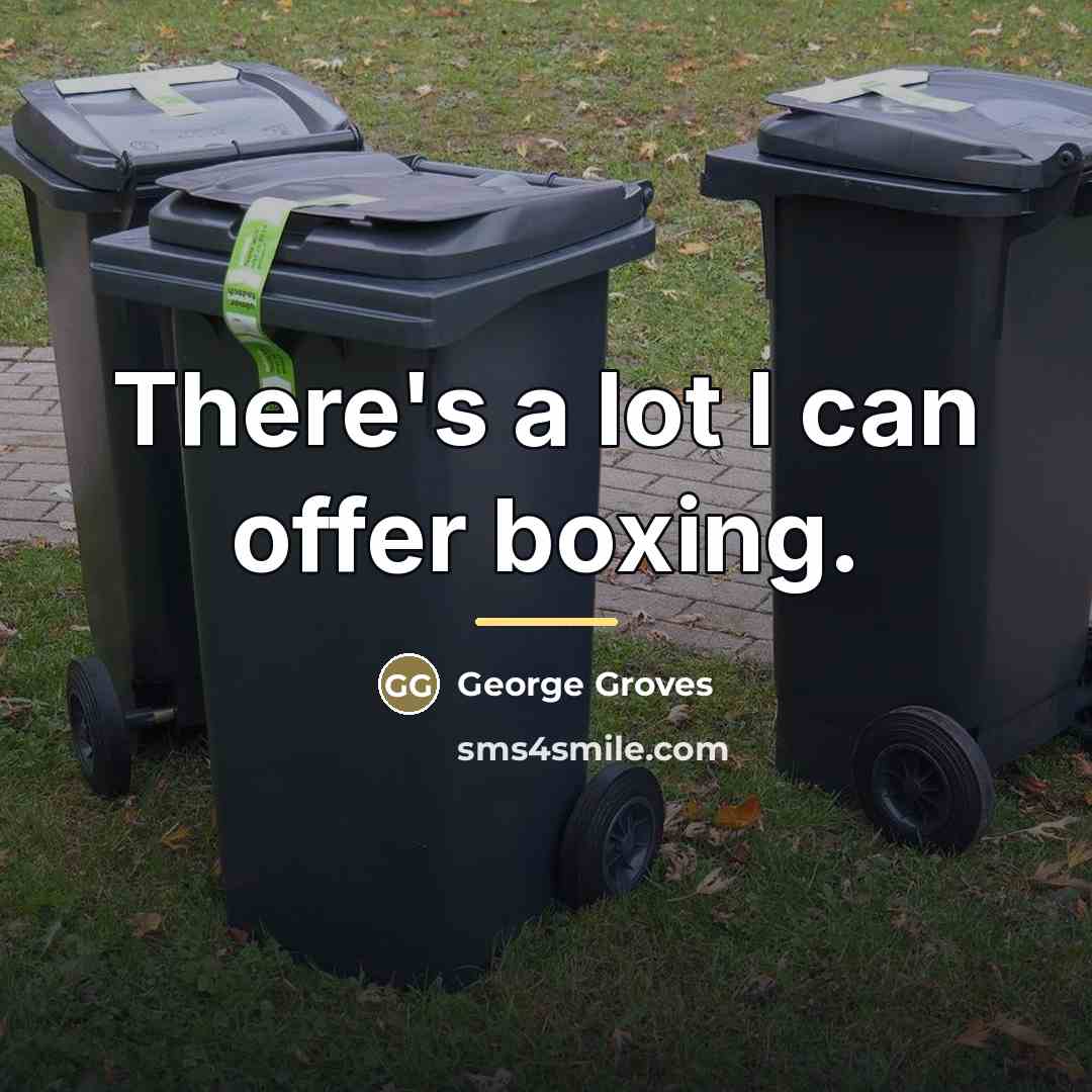 “There's a lot I can offer boxing.…” quote by George Groves