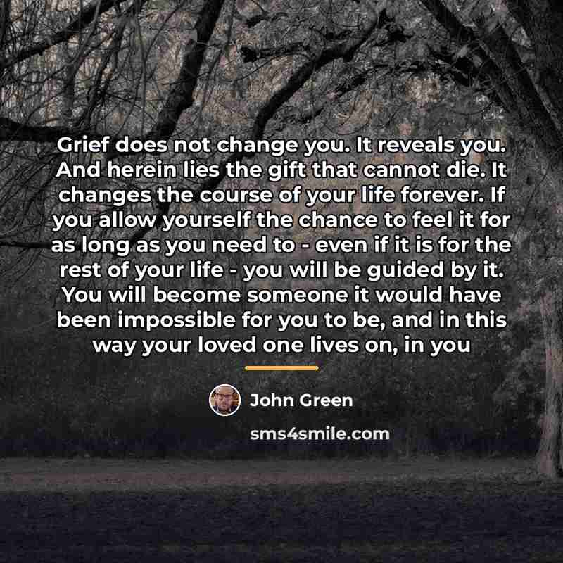“Grief does not change you. It reveals you. And herein…” quote by John Green