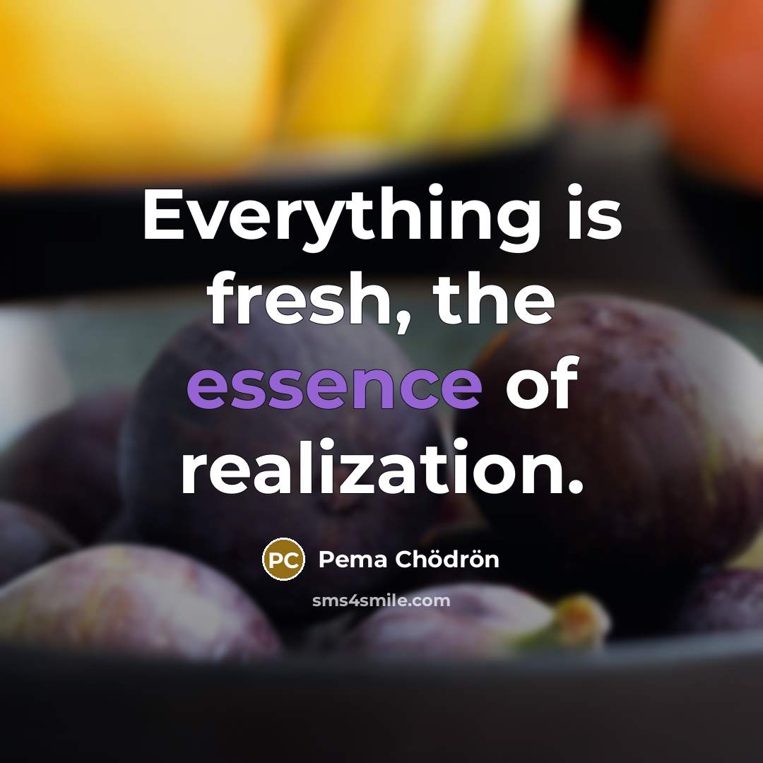 “Everything is fresh, the essence of realization.…” quote by Pema Chodron