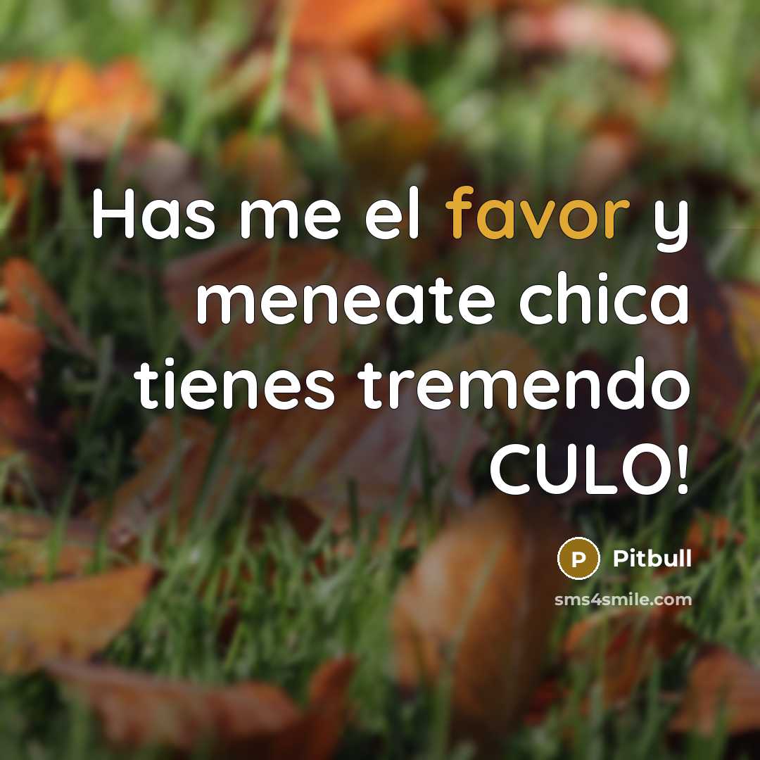 “Has me el favor y meneate chica tienes tremendo CULO!…” quote by Pitbull