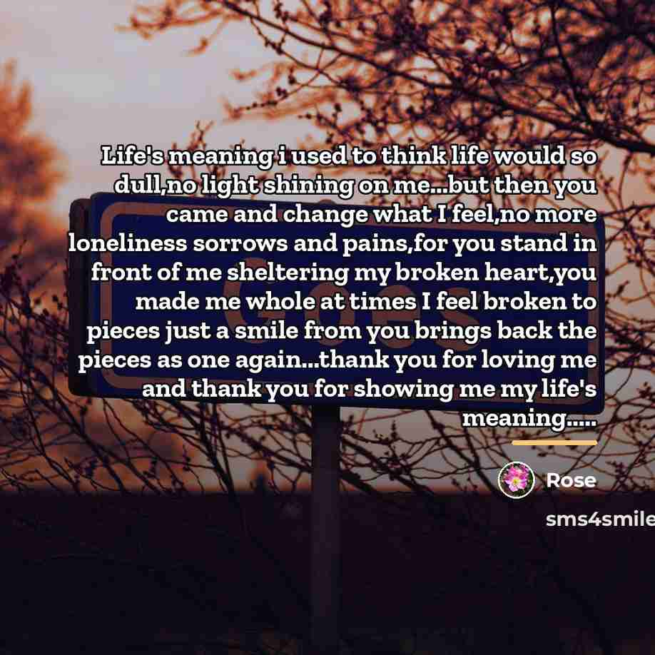 “Life's meaning i used to think life would so dull,no…” quote by Rose