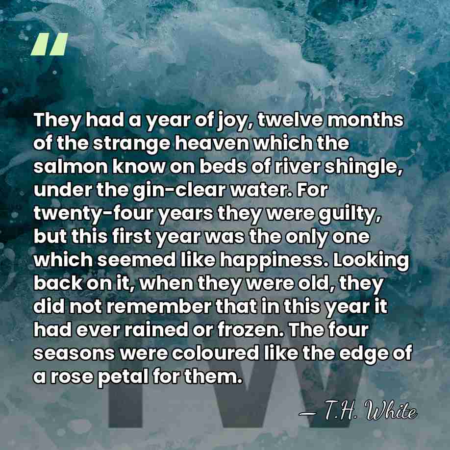 They had a year of joy, twelve months of the strange heaven&hellip; - T.H. White
