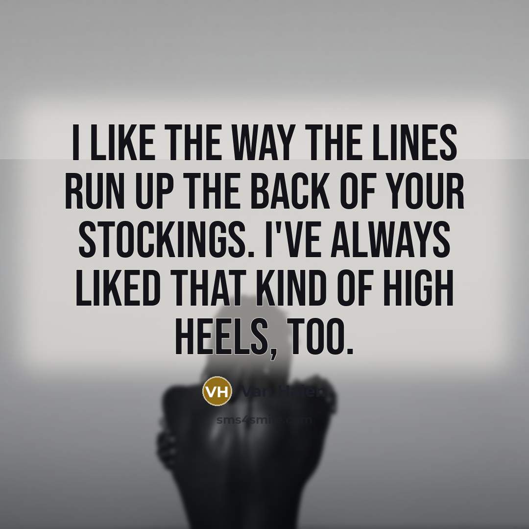 “I like the way the lines run up the back…” quote by Van Halen