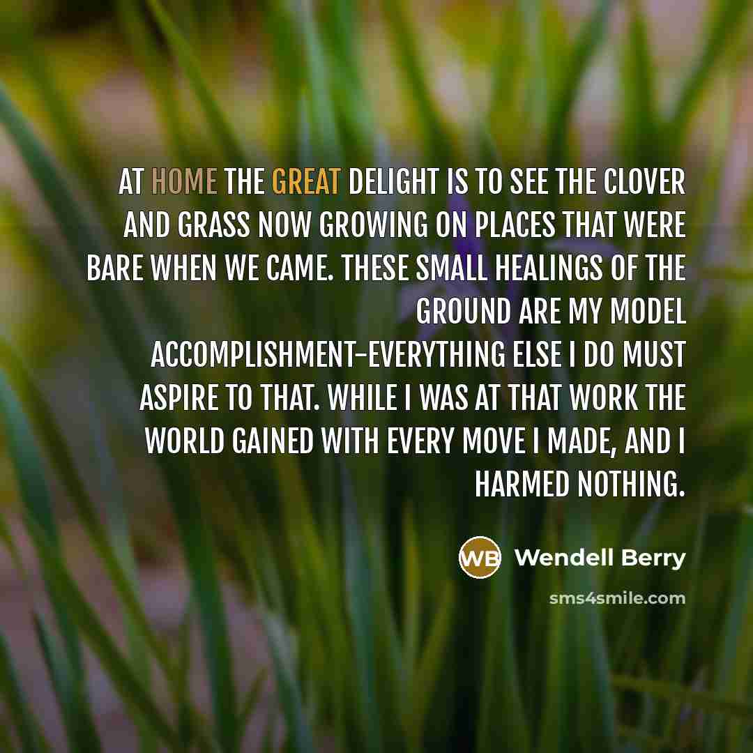“At home the great delight is to see the clover…” quote by Wendell Berry
