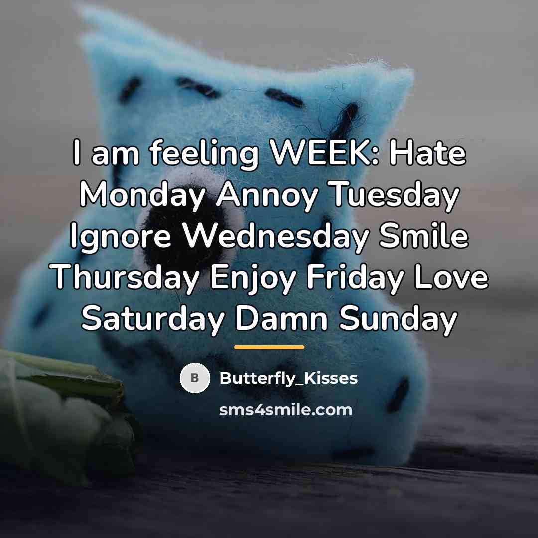 “I am feeling WEEK: Hate Monday Annoy Tuesday Ignore Wednesday…” quote by Butterfly_Kisses