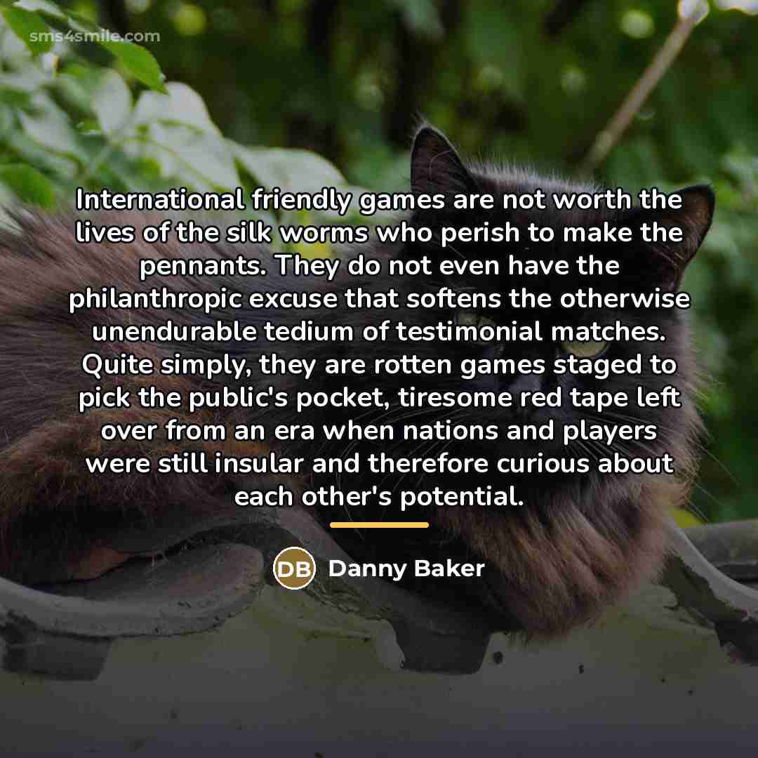 “International friendly games are not worth the lives of the…” quote by Danny Baker