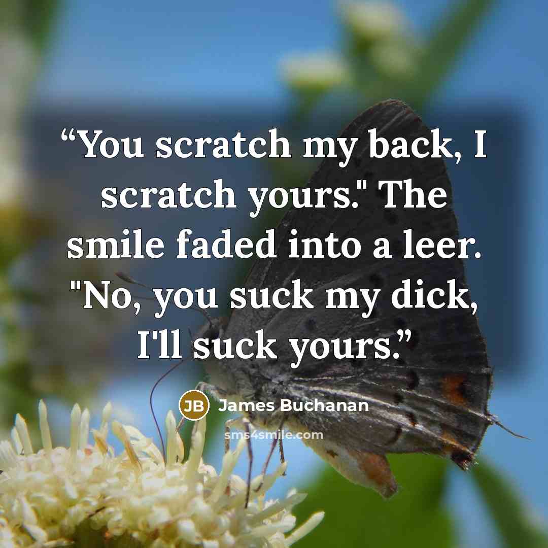 “You scratch my back, I scratch yours." The smile faded into a leer. "No, you suck my dick, I'll suck yours.” quote by James Buchanan