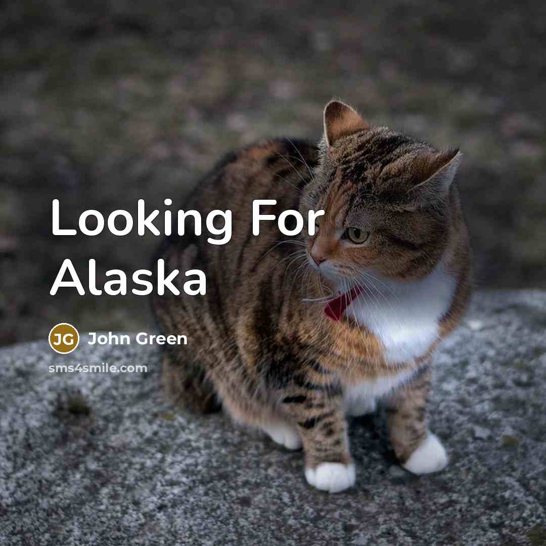 “Looking For Alaska…” quote by John Green