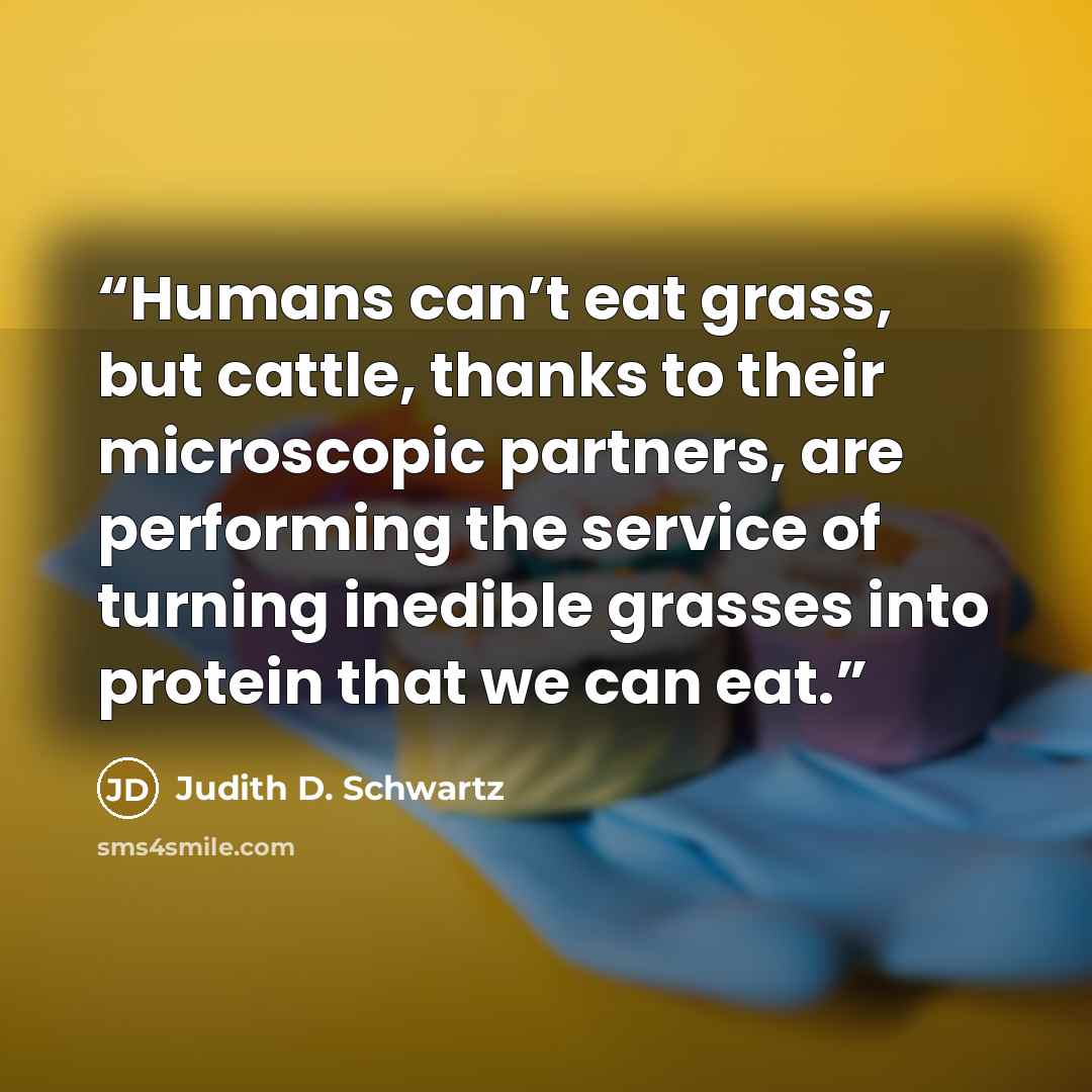 “Humans can’t eat grass, but cattle, thanks to their microscopic partners, are performing the service of turning inedible grasses into protein that we can eat.” quote by Judith D. Schwartz